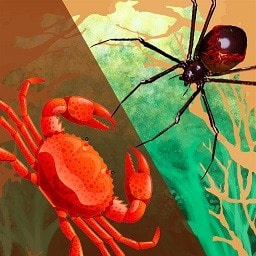 昆虫战争游戏下载
